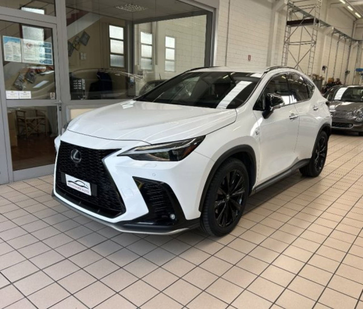 Lexus NX Hybrid 4WD F-Sport (14)