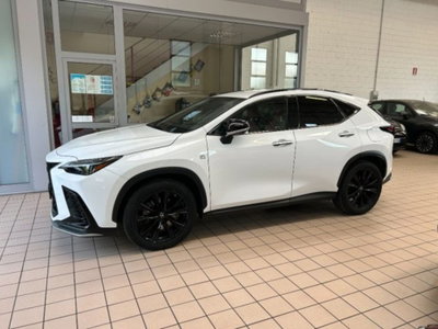 Lexus NX Hybrid 4WD F-Sport (3)