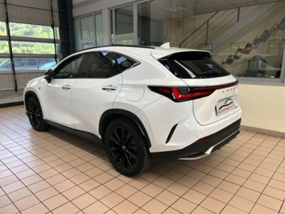 Lexus NX Hybrid 4WD F-Sport (4)