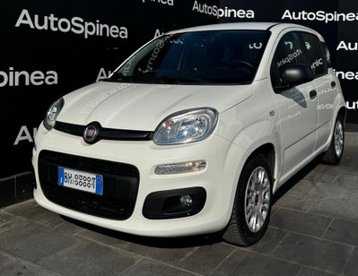 Fiat Panda Cross Cross 1.0 FireFly S&S Hybrid usata