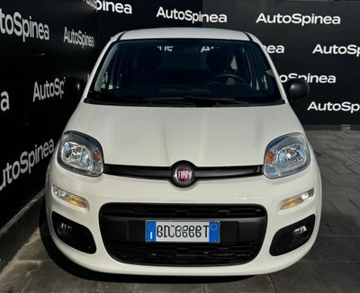 Fiat Panda Cross Cross 1.0 FireFly S&S Hybrid (2)