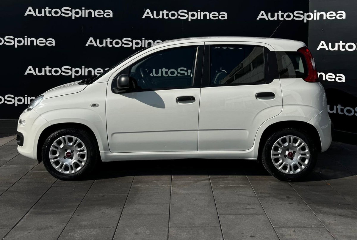 Fiat Panda Cross Cross 1.0 FireFly S&S Hybrid (3)