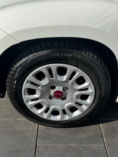 Fiat Panda Cross Cross 1.0 FireFly S&S Hybrid (5)