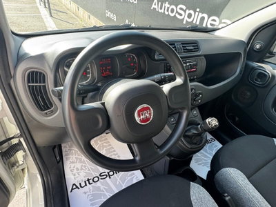 Fiat Panda Cross Cross 1.0 FireFly S&S Hybrid (6)