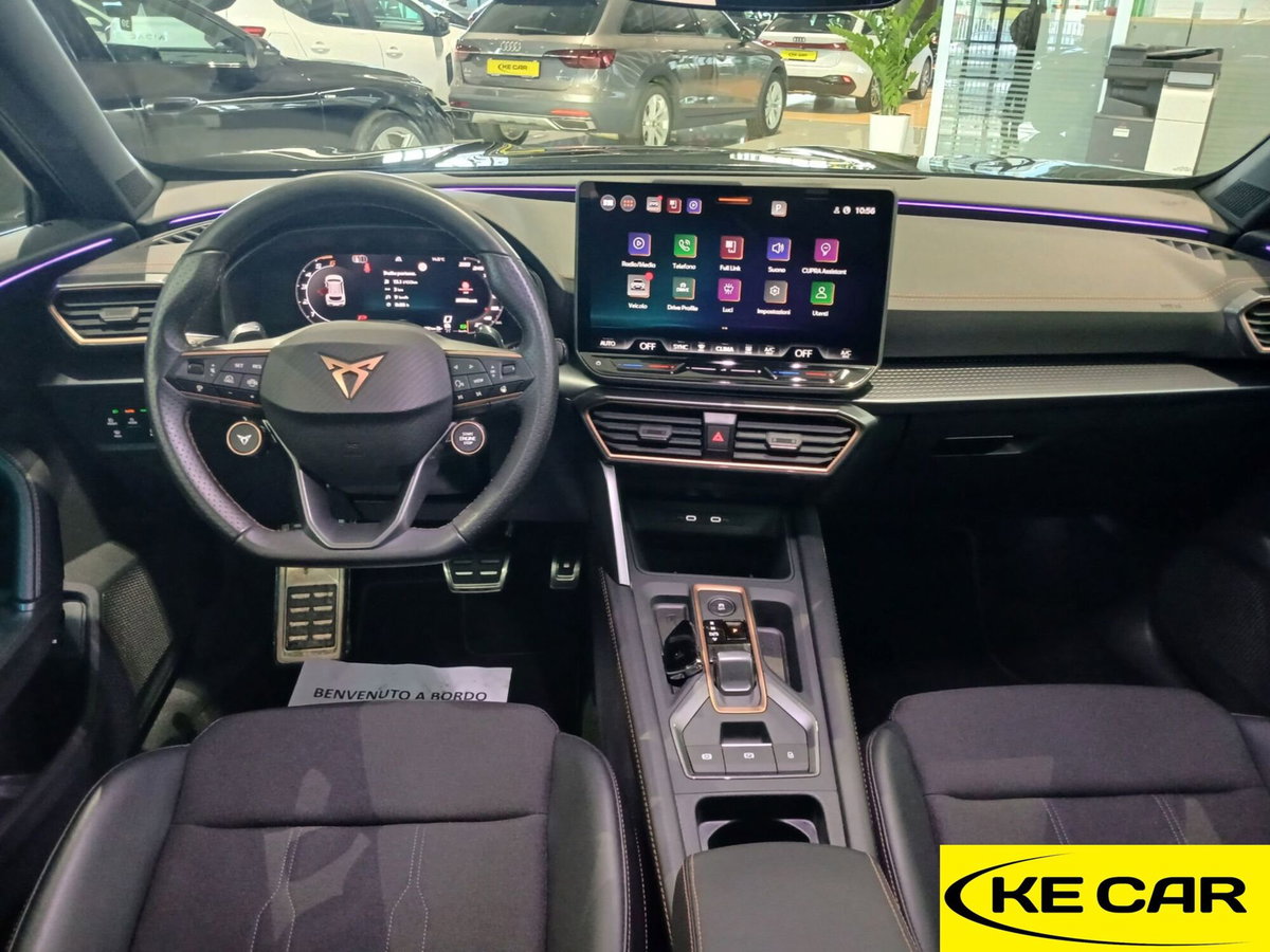 Cupra Formentor Formentor 2.0 TDI (11)