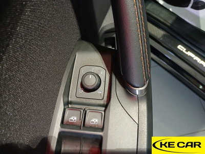 Cupra Formentor Formentor 2.0 TDI (17)