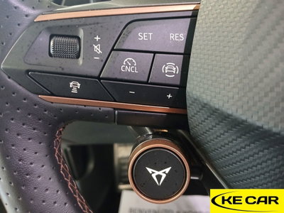 Cupra Formentor Formentor 2.0 TDI (18)