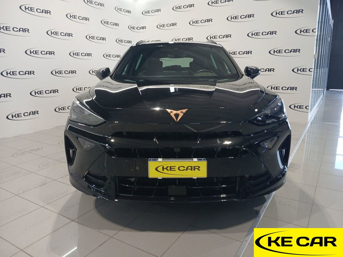 Cupra Formentor Formentor 2.0 TDI (2)