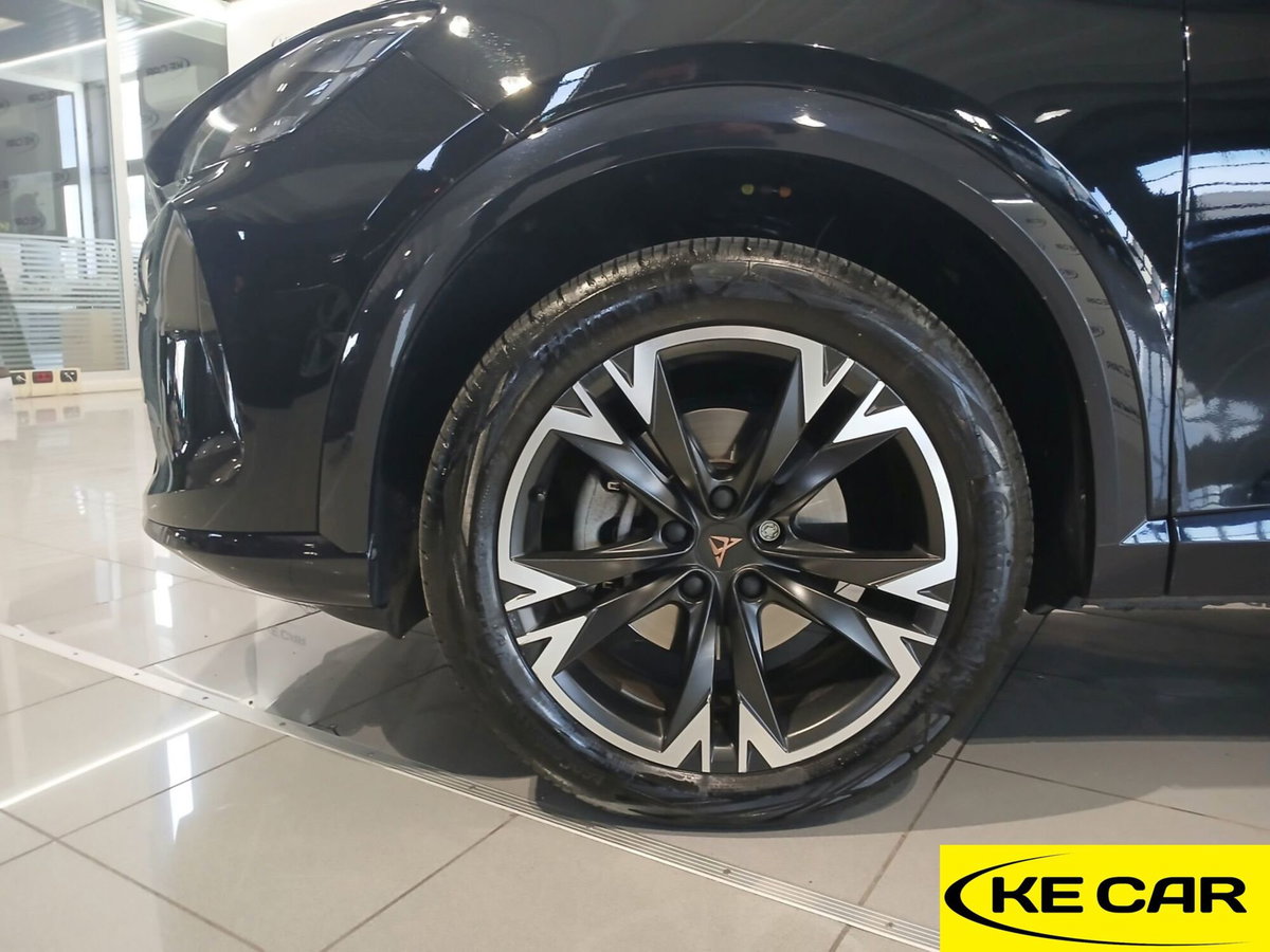 Cupra Formentor Formentor 2.0 TDI (9)