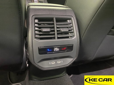 Cupra Formentor Formentor 2.0 TDI (14)