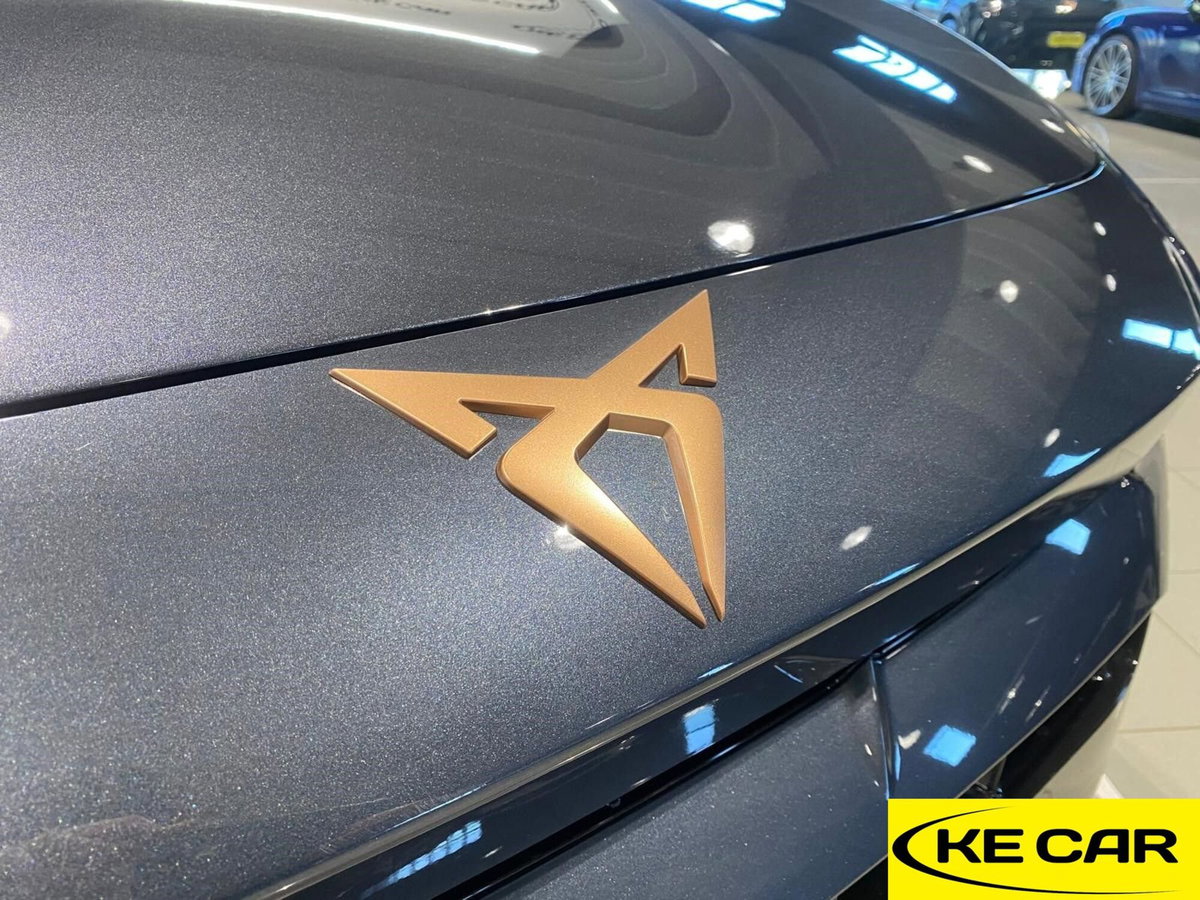 Cupra Formentor Formentor 2.0 TDI (16)