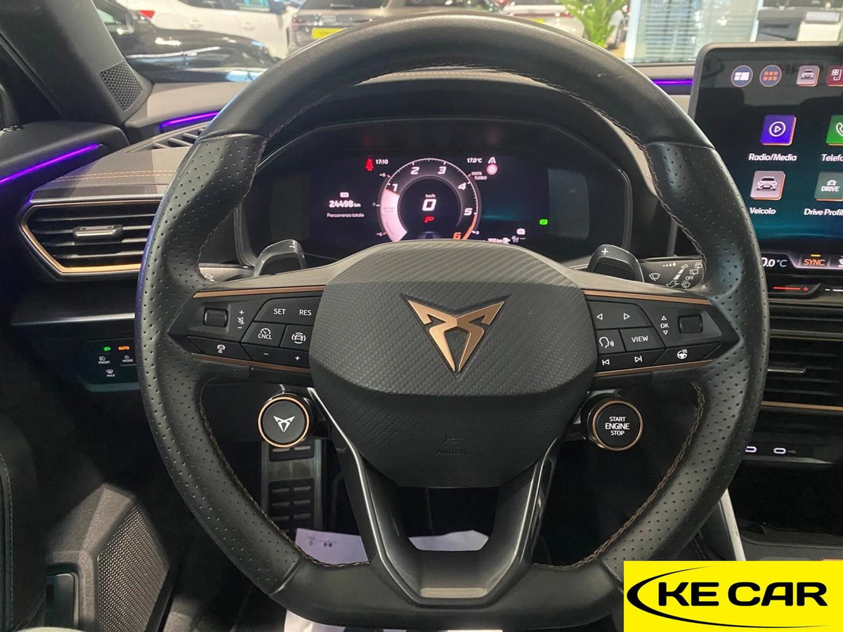 Cupra Formentor Formentor 2.0 TDI (17)