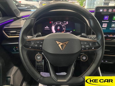 Cupra Formentor Formentor 2.0 TDI (17)