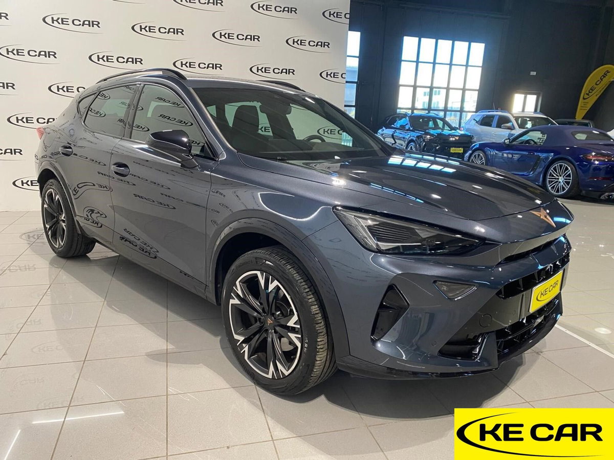 Cupra Formentor Formentor 2.0 TDI (4)