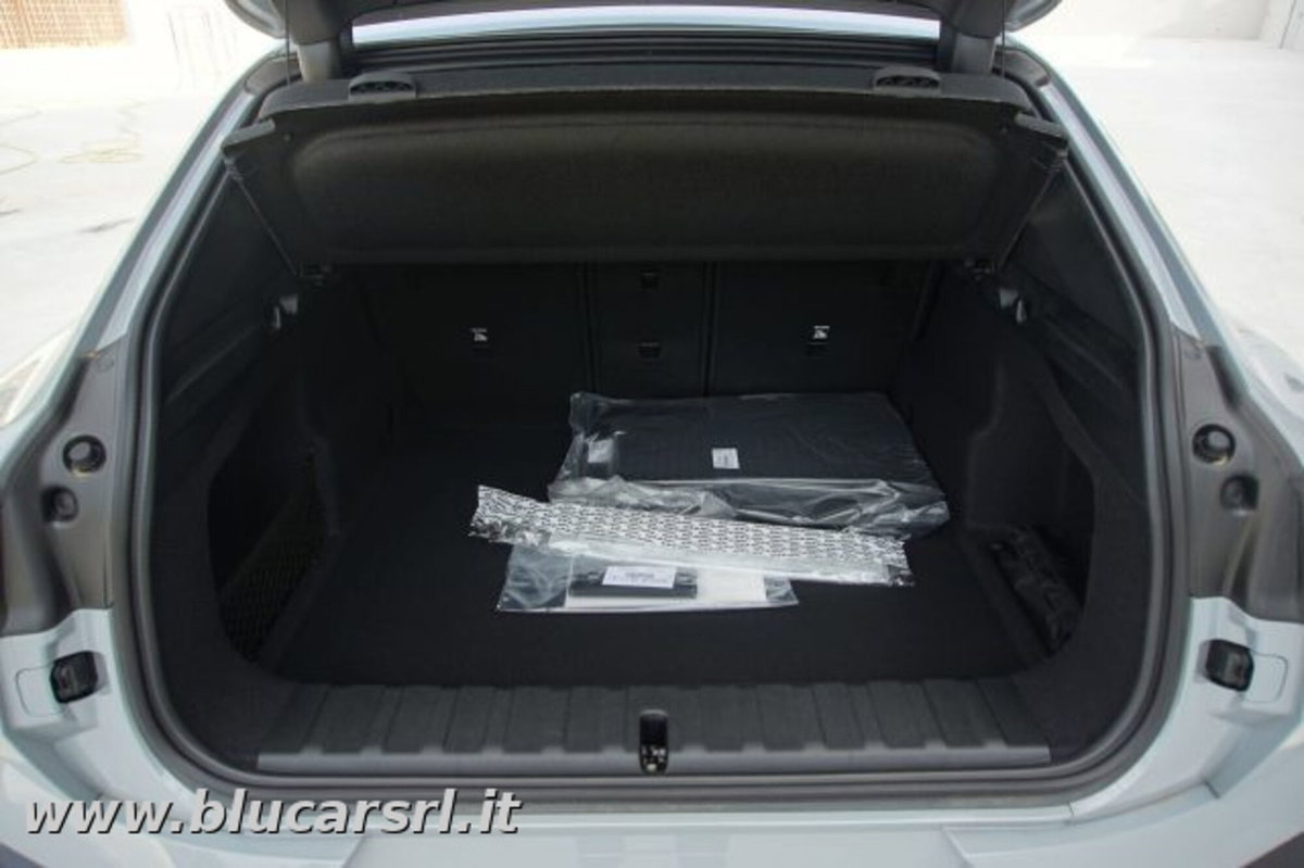 BMW X2 sdrive 18d auto (13)