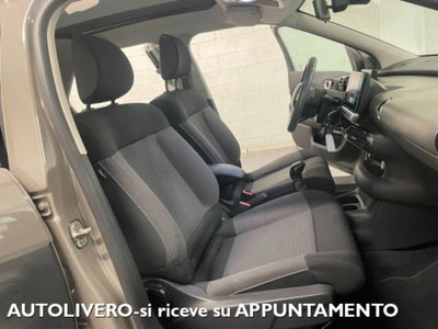 Citroen C4 Cactus BlueHDi 100 W (10)