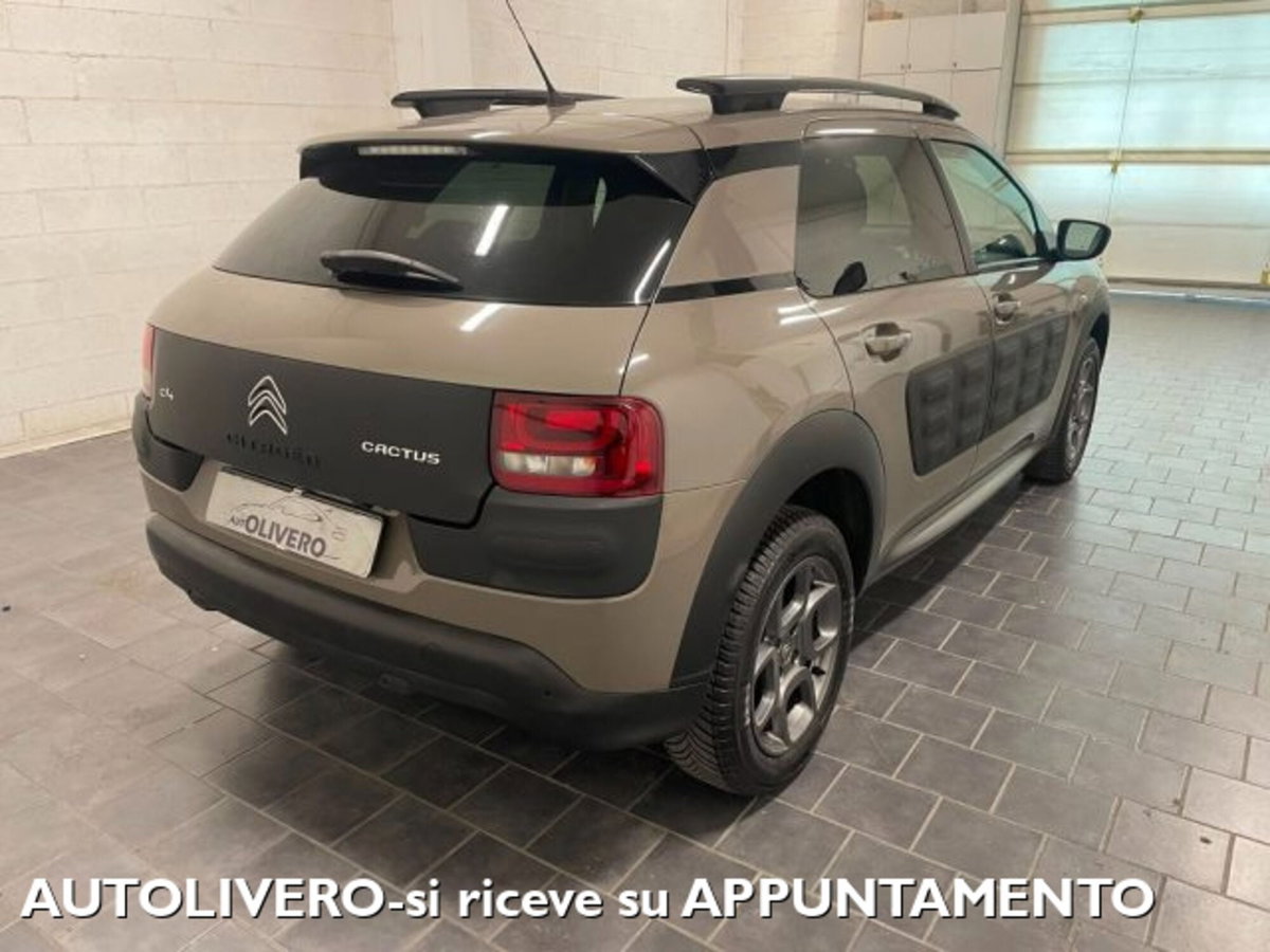 Citroen C4 Cactus BlueHDi 100 W (4)