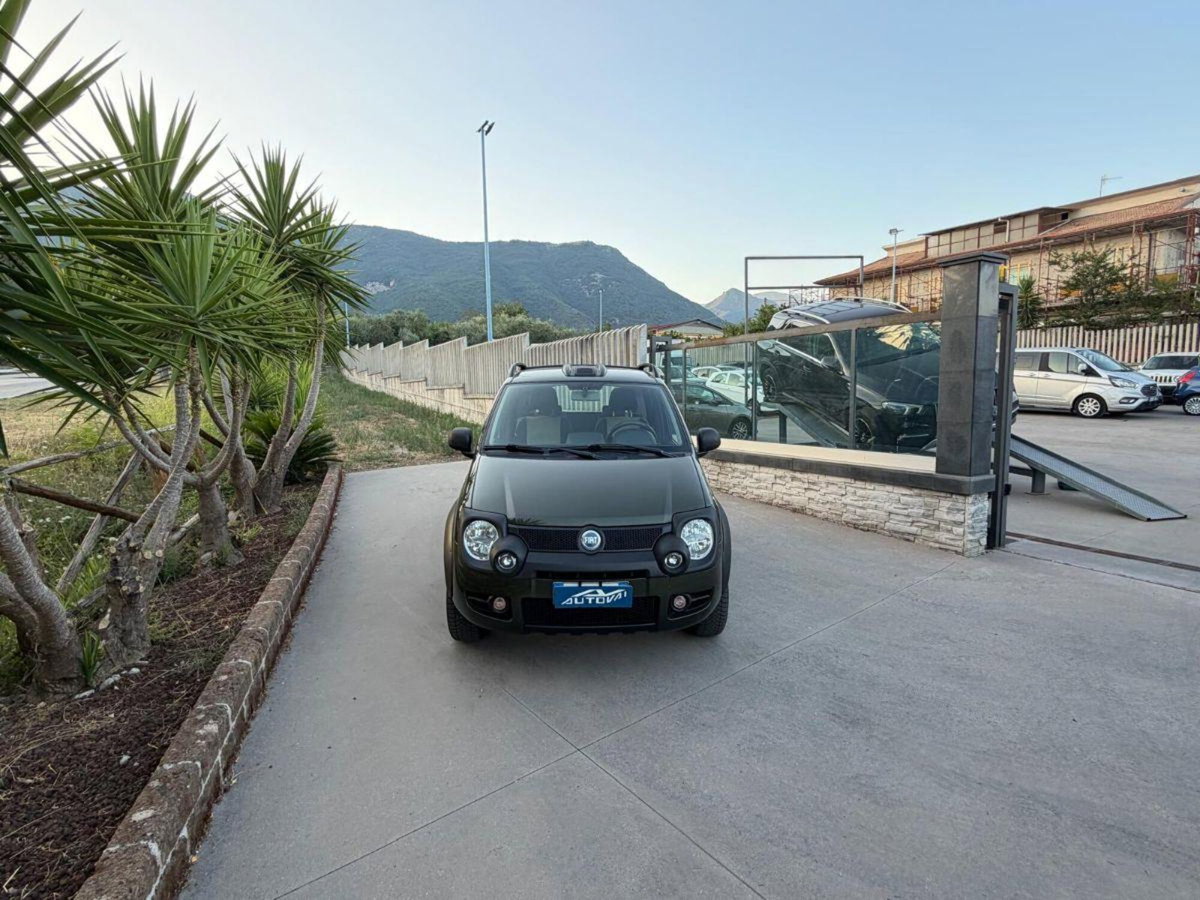 Fiat Panda 1.3 MJT 16V DPF 4x4 Cross (3)