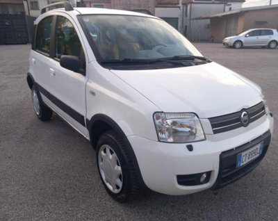 Fiat Panda 1.2 4x4 Climbing usata