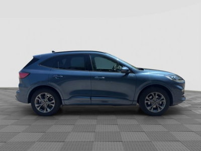 Ford Kuga 2.5 Plug In Hybrid 225 CV CVT 2WD ST-Line (6)
