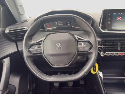 Peugeot 2008 PureTech 100 S&S Active Pack (12)