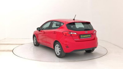 Ford Fiesta 1.1 75 CV 5 porte Plus (3)