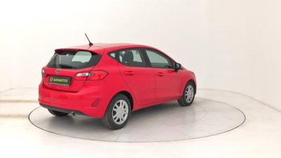 Ford Fiesta 1.1 75 CV 5 porte Plus (5)