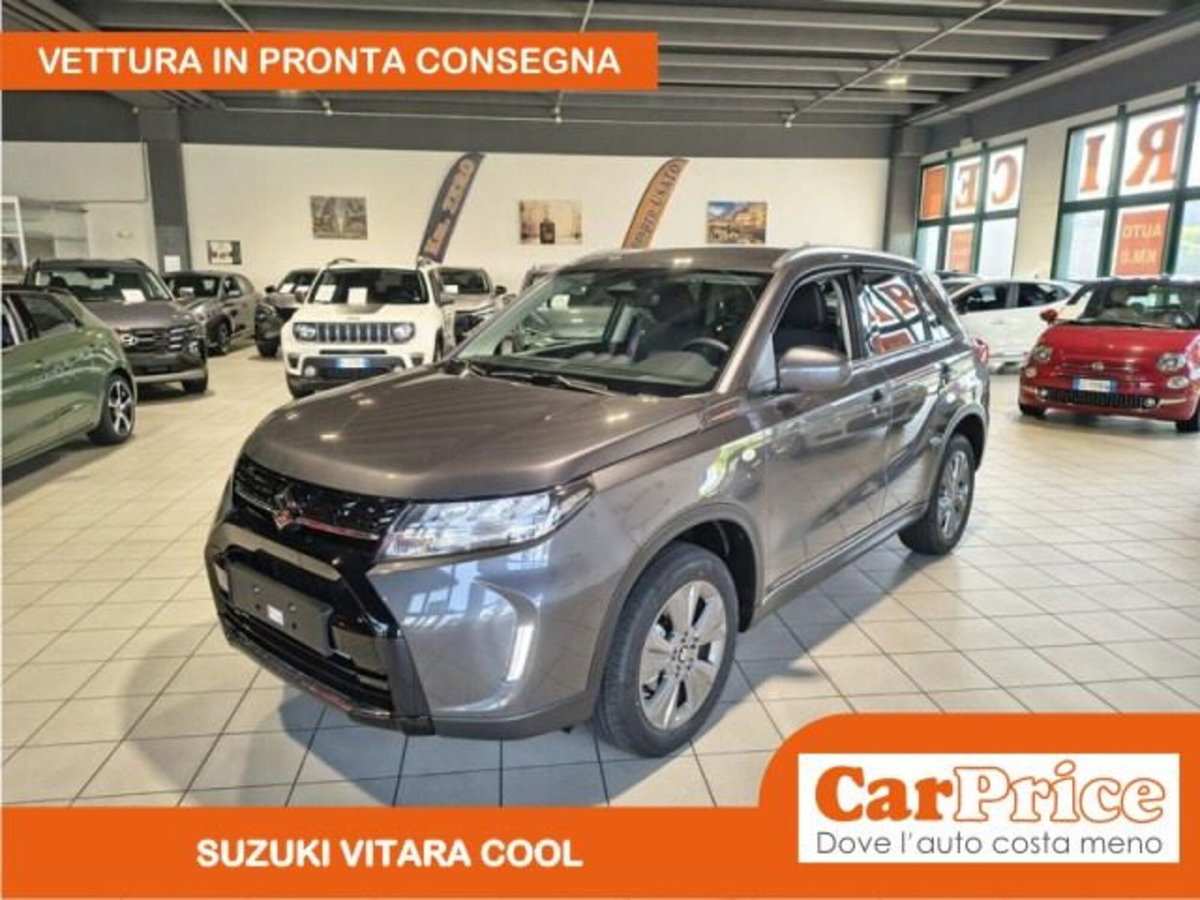 Suzuki Vitara 1.4h Top 2wd 110cv (14)