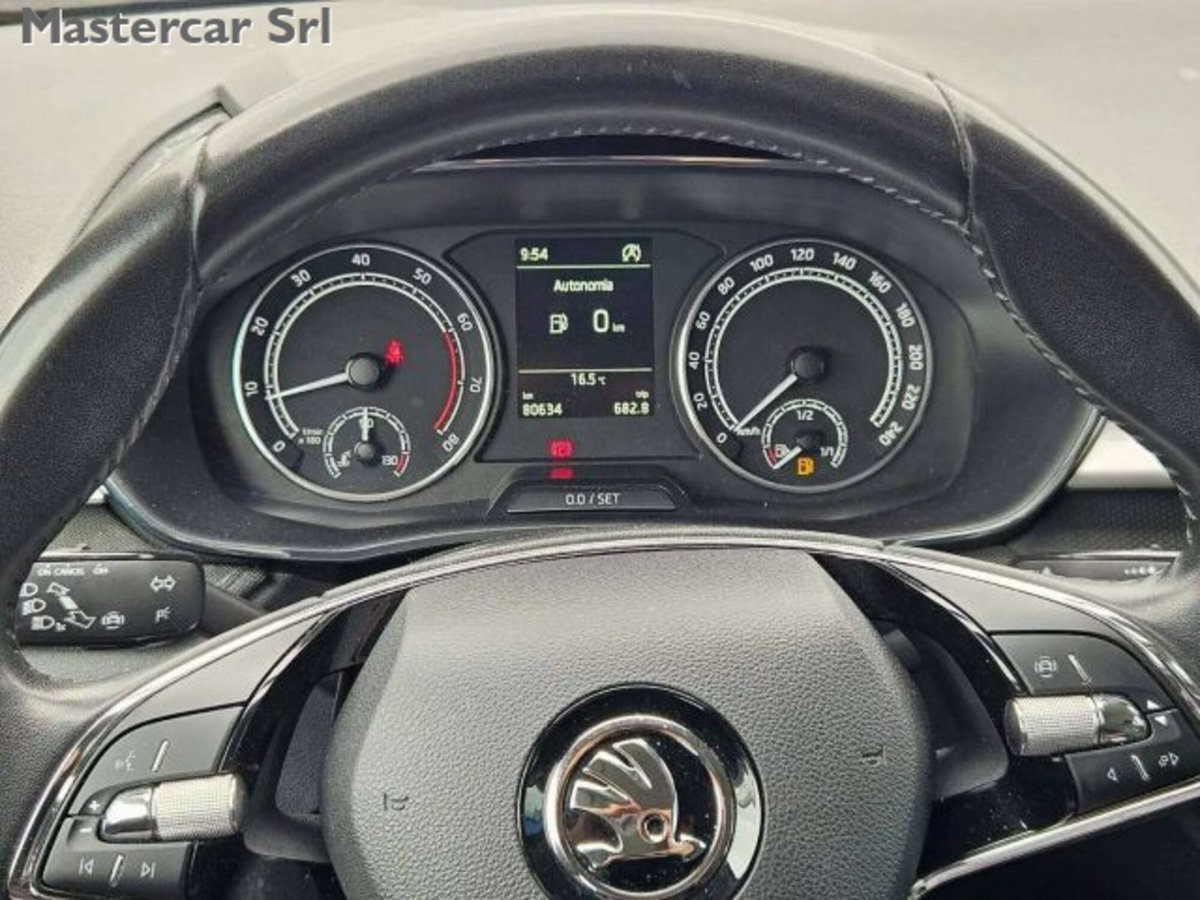 Skoda Fabia 1.0 MPI EVO 80 CV Style (15)