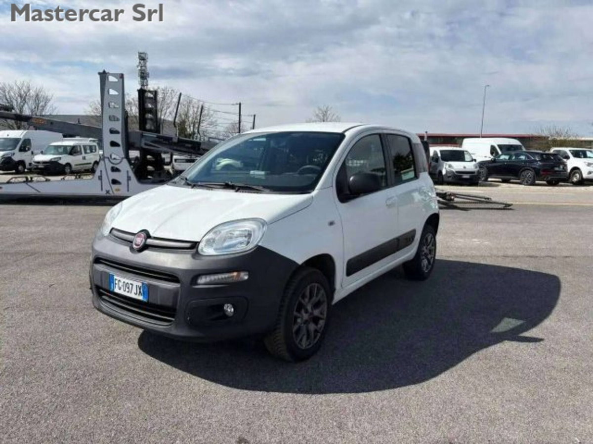 Fiat Panda 1.3 MJT 4x4 Pop Van 2 posti (4)