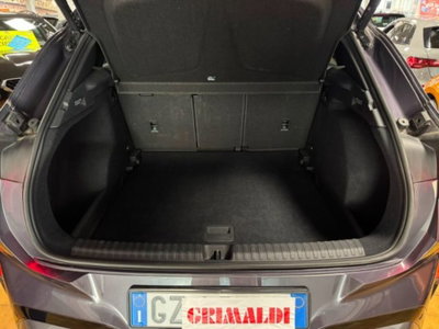 Cupra Terramar 1.5 hybrid 150cv dsg (13)