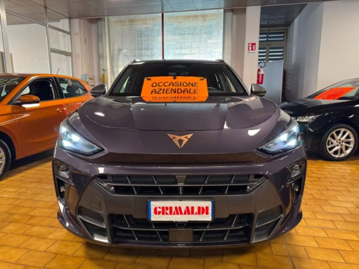 Cupra Terramar 1.5 hybrid 150cv dsg (2)