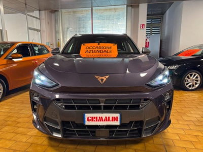 Cupra Terramar 1.5 hybrid 150cv dsg (2)