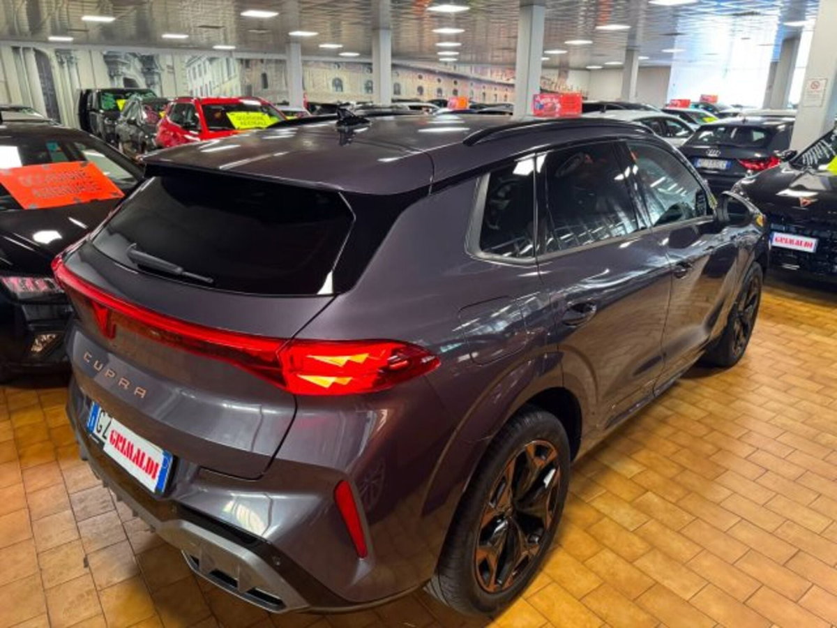 Cupra Terramar 1.5 hybrid 150cv dsg (5)