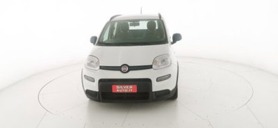 Fiat Panda 1.0 firefly hybrid s&s 70cv 5p.ti (2)