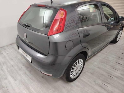 Fiat Punto 1.2 8V 5 porte Street (3)