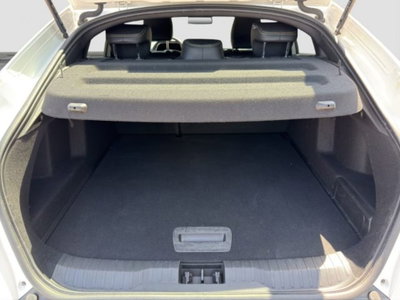 Renault Arkana Hybrid E-Tech 145 CV Techno (14)