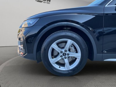 Audi Q5 35 TDI quattro S tronic Business (19)