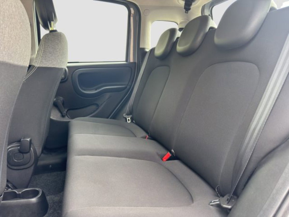 Fiat Panda Cross Cross 1.0 FireFly S&S Hybrid (10)