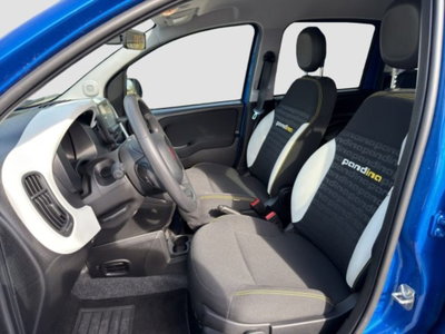 Fiat Panda Cross Cross 1.0 FireFly S&S Hybrid (10)