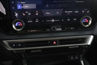 Lexus RX L Hybrid Luxury (13)