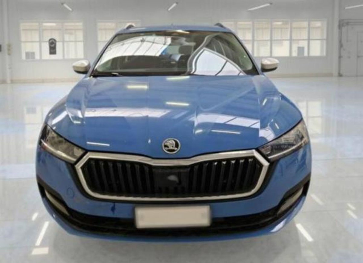 Skoda Octavia Station Wagon 2.0 TDI EVO SCR 150 CV DSG 4x4 Wagon Executive (7)