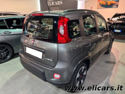 Fiat Panda 1.0 firefly hybrid s&s 70cv 5p.ti (3)