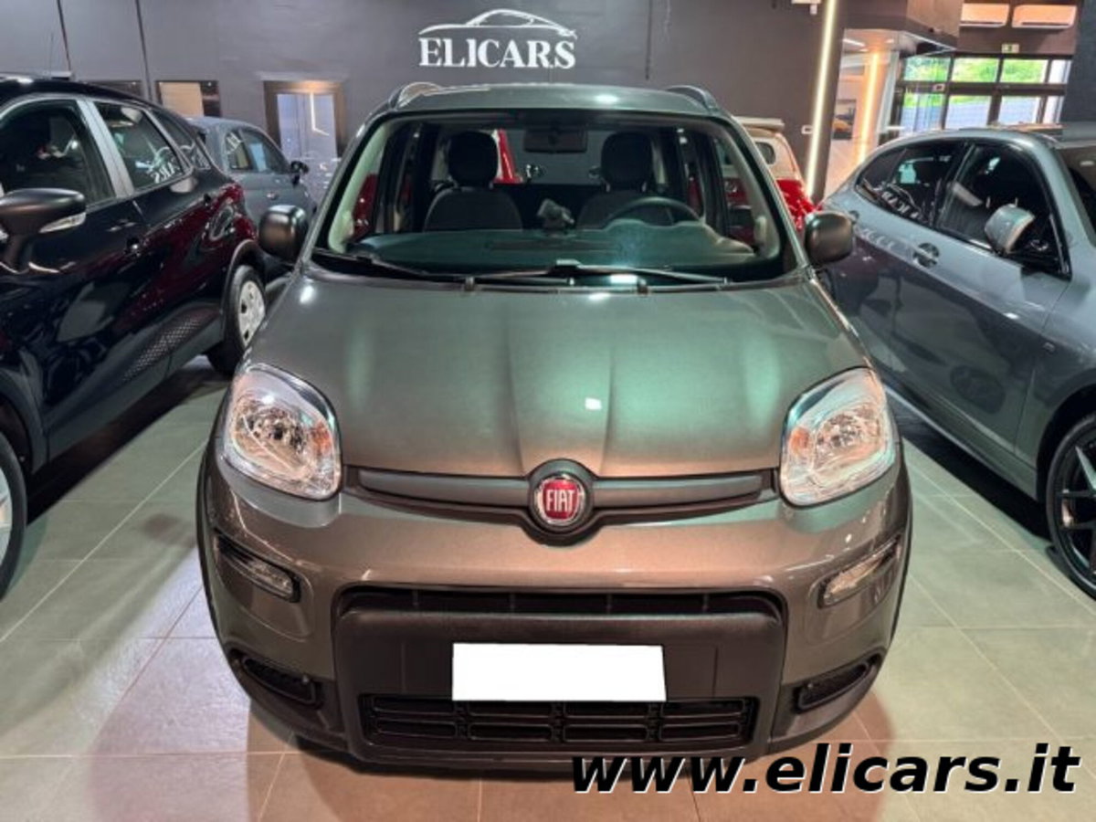 Fiat Panda 1.0 firefly hybrid s&s 70cv 5p.ti (4)