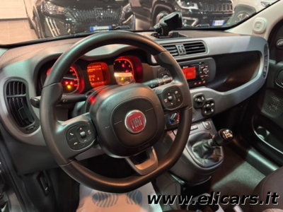Fiat Panda 1.0 firefly hybrid s&s 70cv 5p.ti (5)