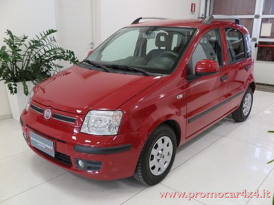 Fiat Panda 1.2 Dynamic usata