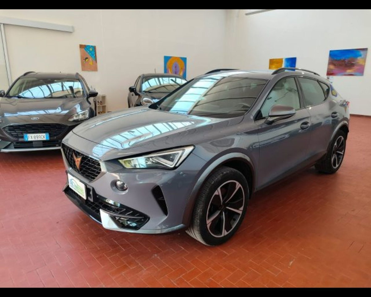 Cupra Formentor Formentor 1.5 TSI (15)