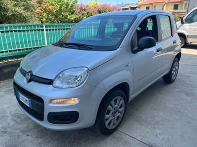 Fiat Panda 0.9 TwinAir Turbo Natural Power Lounge usata