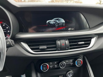 Alfa Romeo Stelvio Stelvio 2.2 Turbodiesel 210 CV AT8 Q4 Veloce (6)