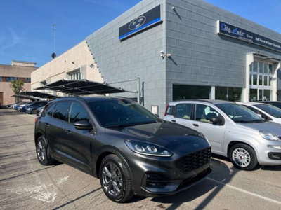 Ford Kuga 2.0 EcoBlue 120 CV aut. 2WD ST-Line X usata